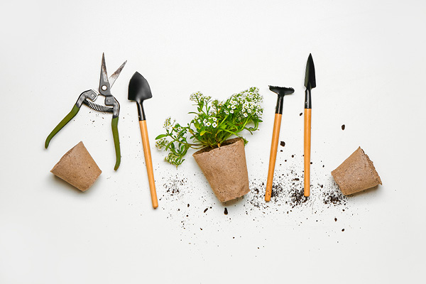 réductions cse maison et jardin
