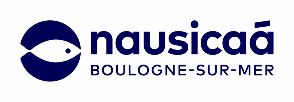 offre cse nausicaa