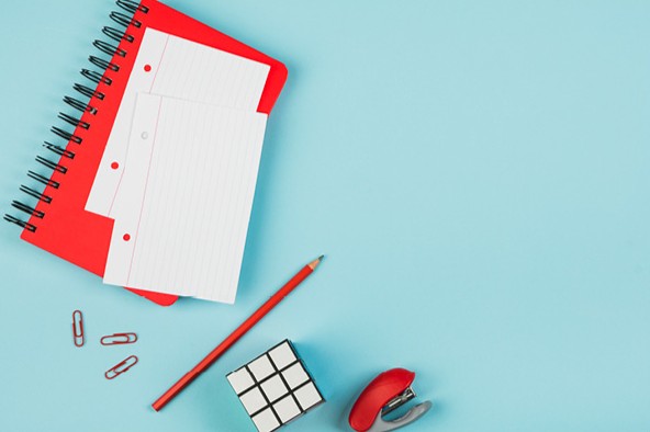 cse établissement et cse central