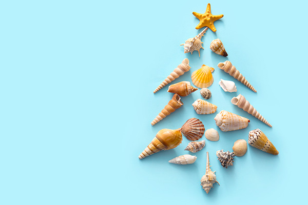 voyage noël cse