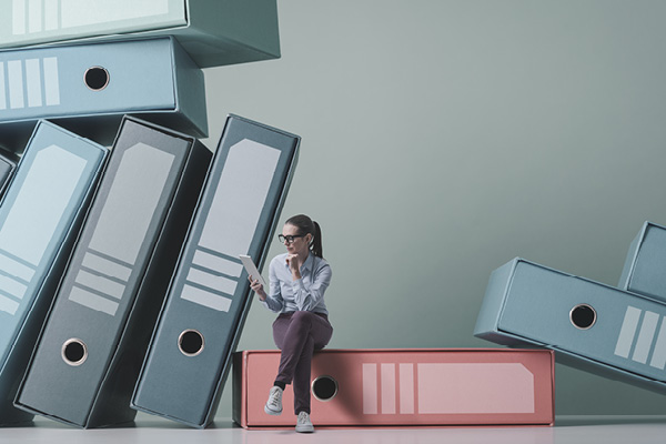 fonctions des élus cse