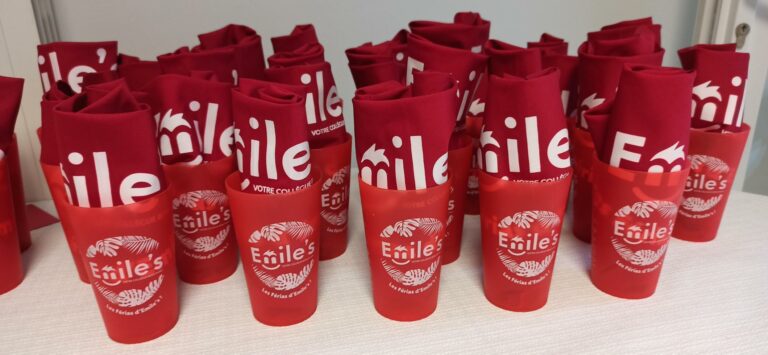 kit festayre feria emile's