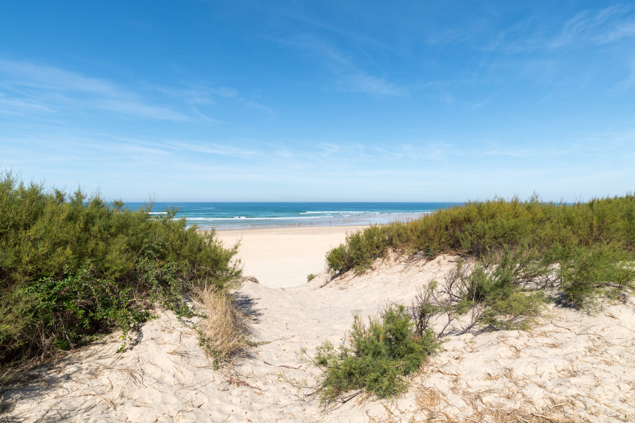 offre locale cse pyrénées atlantiques